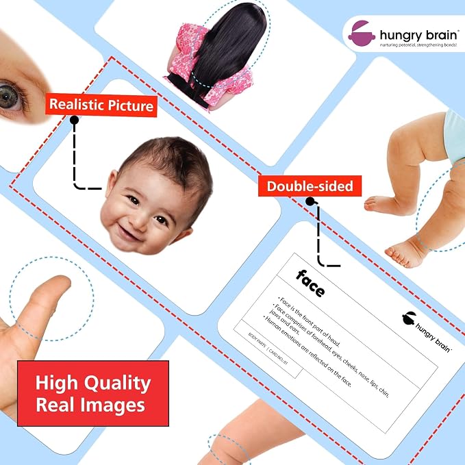 Hungry Brain Body Parts Flash Cards for Toddlers Ages 3 Months to 6 Years | Montessori Human Body Vocabulary Cards for Kids | Educational Learning Cards for Preschool, Kindergarten, Memory - Image 4