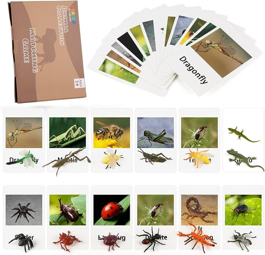 MEROCO Montessori Materials Insects Bugs Matching Game Kids Preschool 3-6 by MEROCO