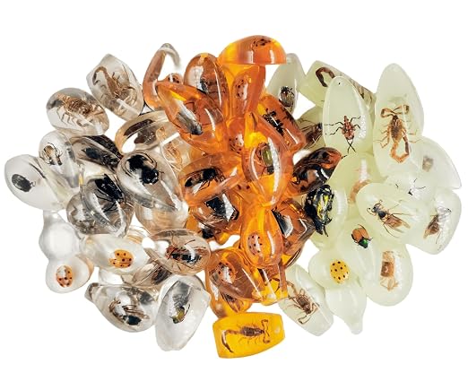 Real Specimens of Various Butterflies and Beetles Made of Resin, Used for Science Classroom Science Education Animal Specimens, Bug Preserved,Oddities, Biology (25Pcs Irregular Small Amber) by Unknown
