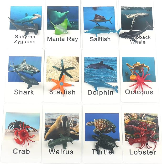 MEROCO Ocean Animals Montessori Matching Game Toys Kids Preschool - Image 6