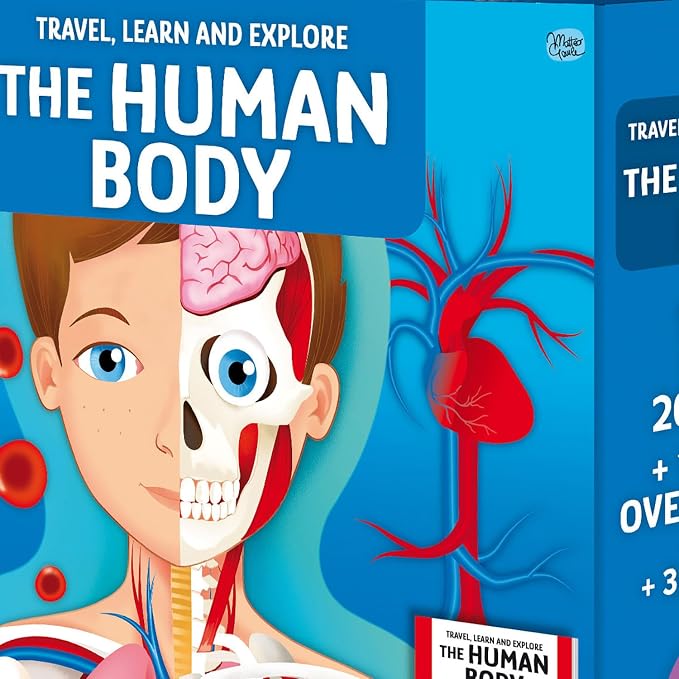 Sassi: Travel, Learn & Explore - The Human Body - 200pc Shaped Puzzle & 32-Page Book, Educational Set, Facts About Bodily Systems, (N.E. 2024) Kids 6+ - Image 9