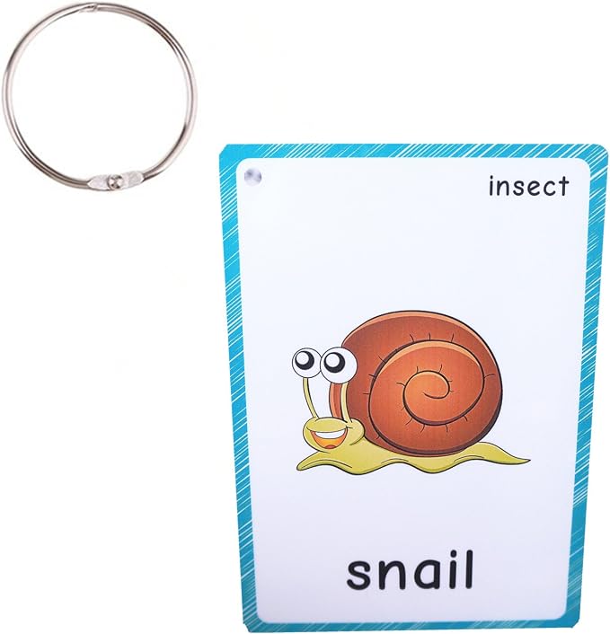 SANTSUN 14 Insects and Bugs Flashcards for Kindergarten Classroom Decoration Background Wall Stickers Teach Flash Card & Daycare Decorations Learning Cards - Image 2