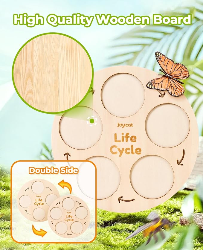 JoyCat Life Cycle Learning Education Toys, Insect Caterpillar to Butterfly kit, Ladybug, Bee, Tadpole to Frog Kit Life Cycle Toys for Kids, Preschool Learning Activities for Age 3 4 5 6 7 8 - Image 3