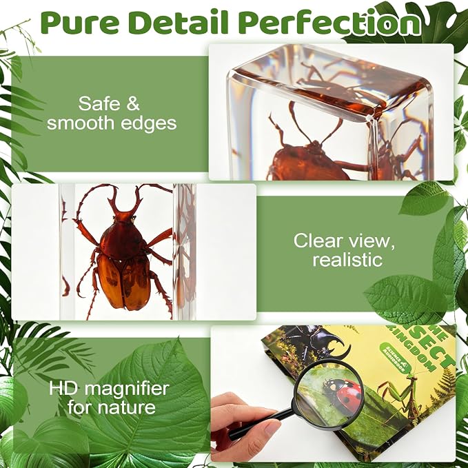 16 Pcs Real Insect in Resin Specimens Set with Magnifying Glass and Audiobooks, Various Butterflies, Bugs and Beetles Collection for Science Education, Classroom, Biology, Preschool, Home Display - Image 7