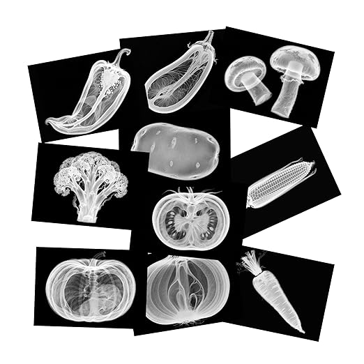 Vegetable, Fruit and Plant X-Rays, Set of 10, Simulation Specimen, Science Experiment Material for Kindergarten, Light Table, Montessori & Reggio-Inspired (Vegetables) by SZREGGIO
