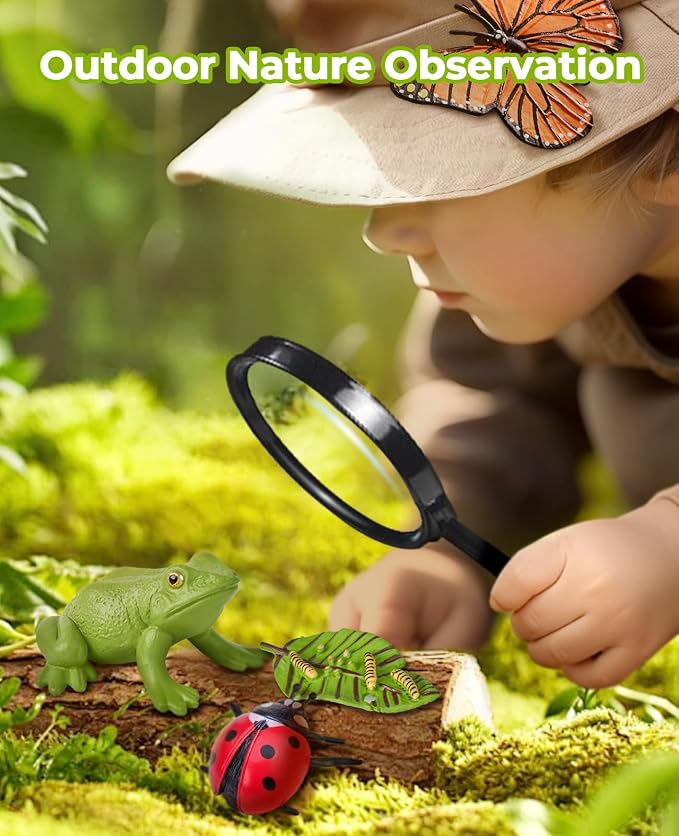 JoyCat Life Cycle Learning Education Toys, Insect Caterpillar to Butterfly kit, Ladybug, Bee, Tadpole to Frog Kit Life Cycle Toys for Kids, Preschool Learning Activities for Age 3 4 5 6 7 8 - Image 6