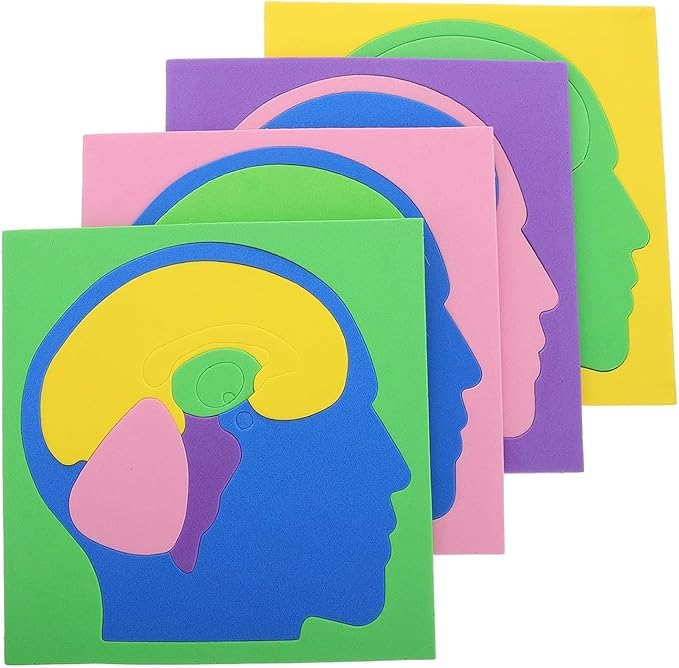Human Body Puzzle, 16x15.8cm EVA Brain Science Experiment DIY Model for Kids, Students, Education, Learning, STEM, Anatomy Study, Science Supplies - Image 7