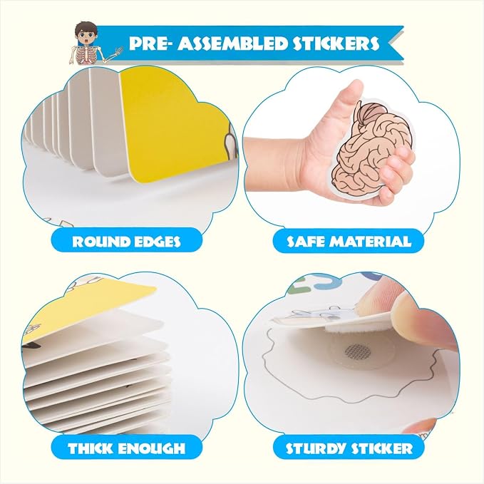Human Body Anatomy Educational Workbook – Early Learning Materials, 1 Pcs (Yellow) - Image 3