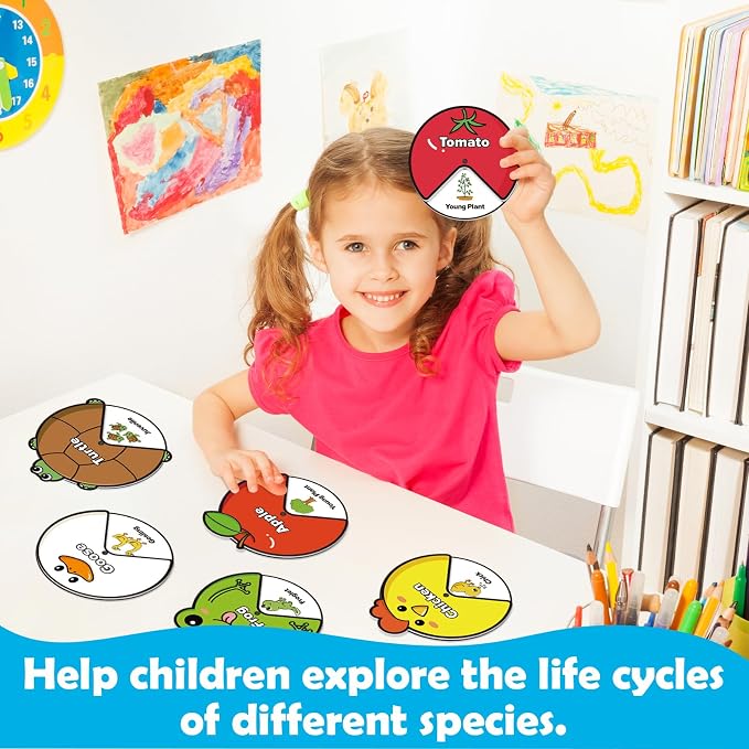Kasfalci Life Cycle Toys for Kids,Back to School Supplies,Animal Plant Insect Bug Ladybug Butterfly Tadpole to Frog Kit,Montessori Learning & Education Toys,Preschool Science Learning Activities - Image 2