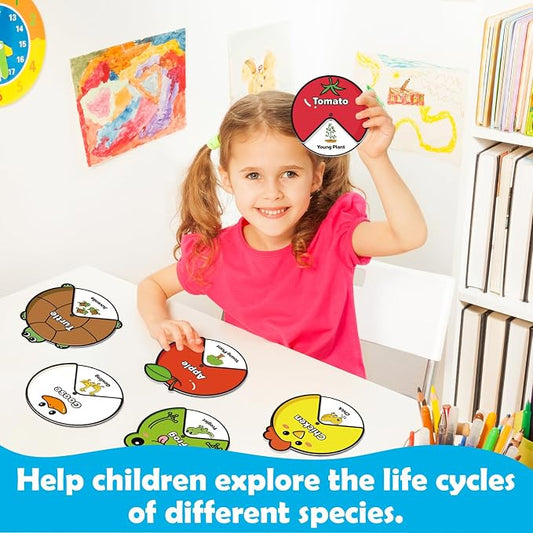 Kasfalci Life Cycle Toys for Kids,Back to School Supplies,Animal Plant Insect Bug Ladybug Butterfly Tadpole to Frog Kit,Montessori Learning & Education Toys,Preschool Science Learning Activities - Image 2