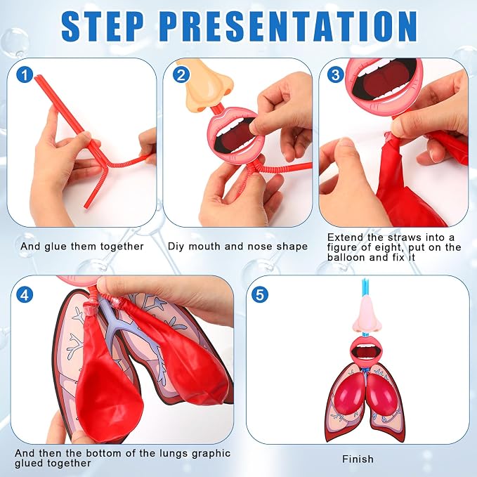 Libima 24 Sets Lung Model Respiratory System Human Body Model Puzzle Toys - Image 3