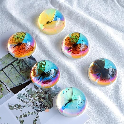 Real Butterfly Specimen in Resin,Insect Specimens for Education - Image 3
