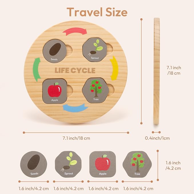 Woodtoe Life Cycle Toys, 12 Themes Montessori Science Toys for Kid Ages 3-6 - Image 5