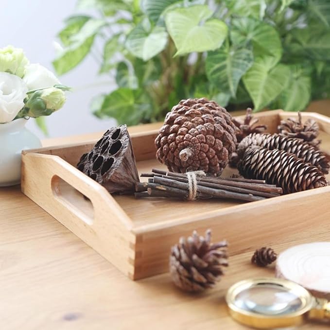 Montessori Nature Exploration Kit, Kids Outdoor Sensory Science Toy - Image 4