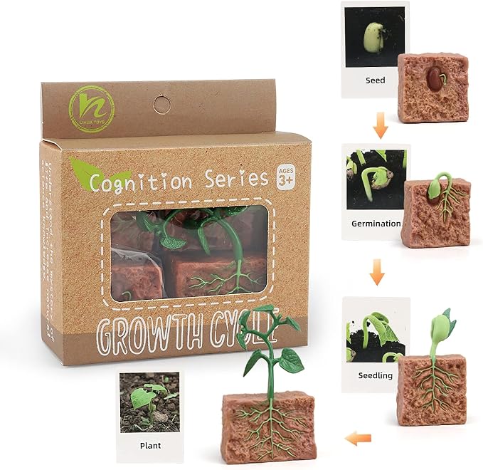 Montessori Life Cycle Animal Figures with Flash Cards, Realistic Animal Figurines Toy, Educational Matching Game for 3+ Year Old Kids (Plant) by MIKNEKE