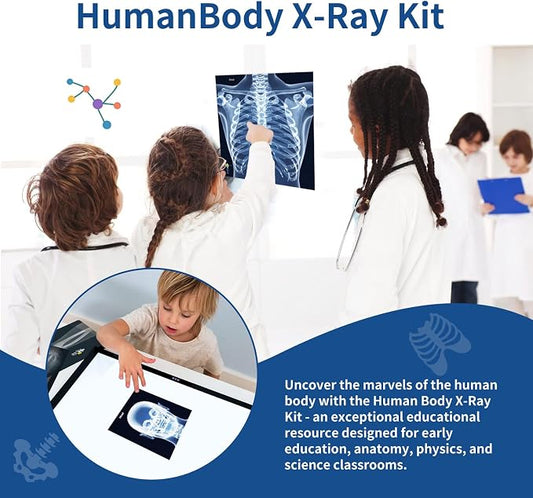 Human X-Rays for Kids' Light Table - 14-Piece Skeleton Puzzle & 7 Body System Charts (Nerves, Vessels, Lymphatic) - X-Ray Toys for Kids, STEM Toy for Light Table, School Projects & Doctor Role Play - Image 2