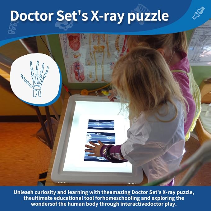 Human X-Rays for Kids' Light Table - 14-Piece Skeleton Puzzle & 7 Body System Charts (Nerves, Vessels, Lymphatic) - X-Ray Toys for Kids, STEM Toy for Light Table, School Projects & Doctor Role Play - Image 3