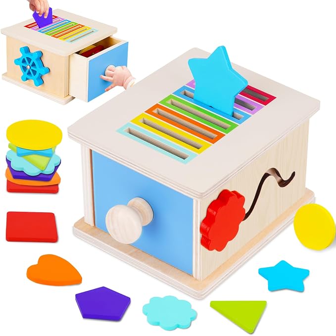 FCSONU Montessori Sorting Box Toys for Toddlers 1-3, Fine Motor Skills Toys by FCSONUMontessoriToys