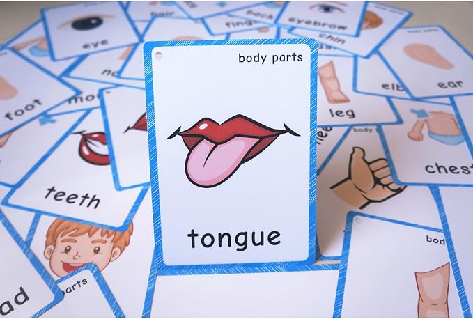 SANTSUN 36 Pieces of My Body Parts Flash Cards for Toddlers- The Flash HolePunched- So You can sort and Organize The Cards Easily and Early Learning Kindergarten Teacher Tools - Image 2