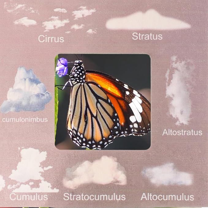 COHEALI Nature Guide Finder Viewer Outdoor Identification Guide Tool for Cloud Identification and Nature Photography Double-Sided Frame for Kids Exploration - Image 8