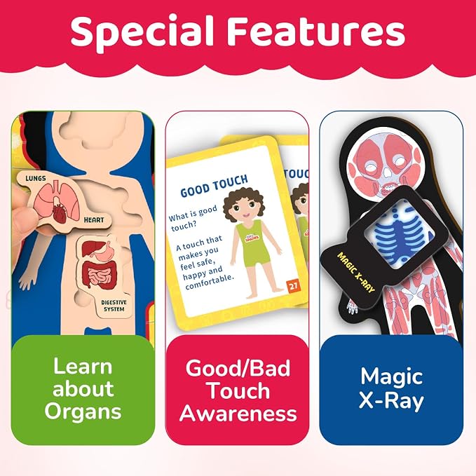 Smartivity Human Body Anatomy Puzzle for Kids 4-7 Years - Image 6