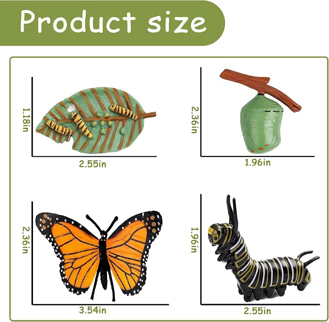 Mbrain 4pcs Butterfly Growth Cycle with Flash Cards,Life Cycle Learning & Education Toys,Montessori Toys,Gift for Girl & Boy for 3 4 5 6 7 Year Old (Butterfly) - Image 2