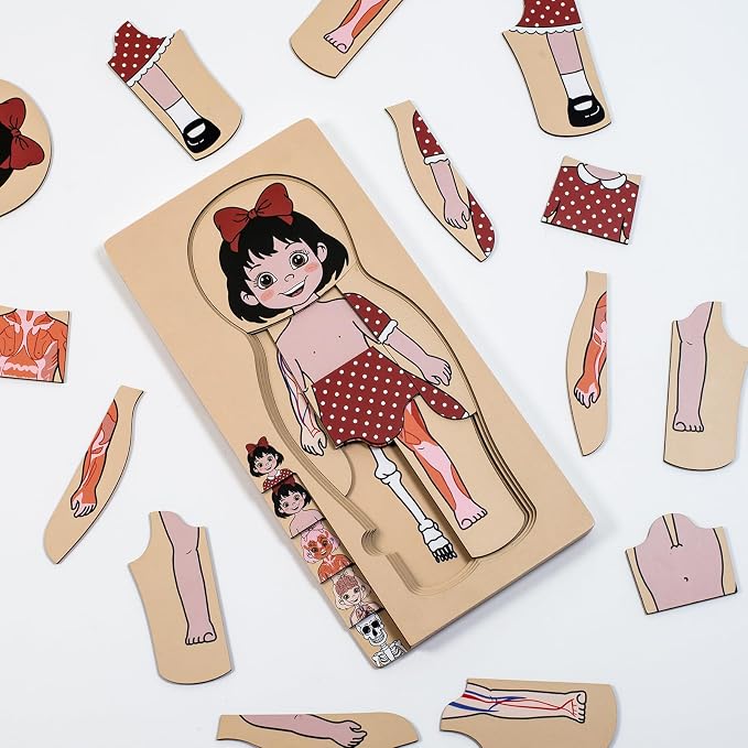 My Body Parts Puzzle for Toddlers Kids African Girl Montessori Wooden Anatomy Puzzle 3-6 Years Old Preschool Learning Game Human Body Cognitive Toys - Image 3