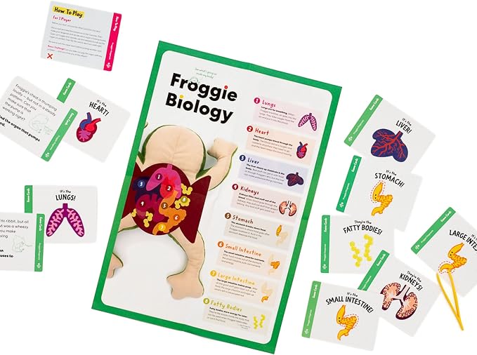 KiwiCo Froggie Lab Dissection Plush Toy | 5-Piece Organ Anatomy Learning Activity | Interactive Biology STEM Stuffed Animal for Kids Ages 3+ - Art & Science Gift - Image 6