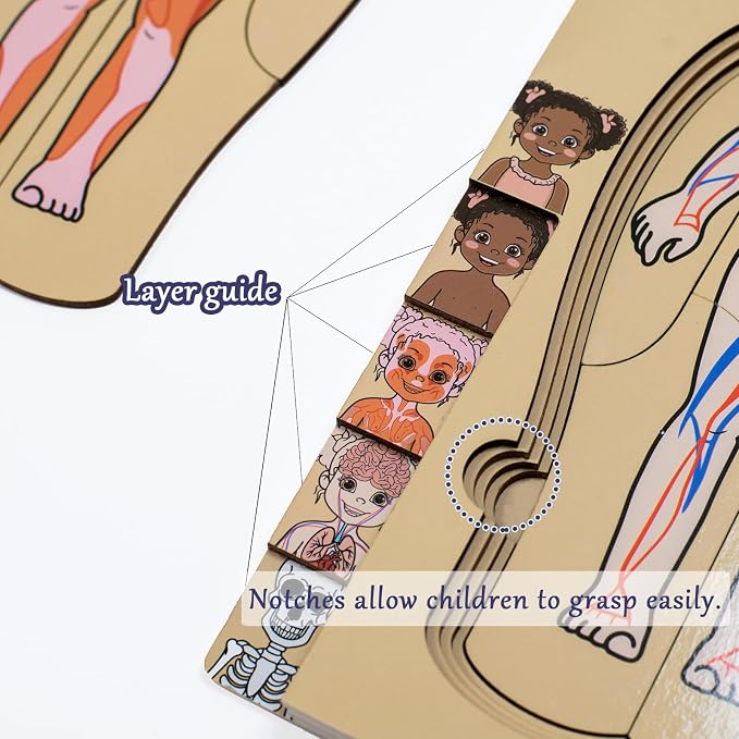 My Body Parts Puzzle for Toddlers Kids African Girl Montessori Wooden Anatomy Puzzle 3-5 Years Old Preschool Learning Game Human Body Cognitive Toys - Image 5