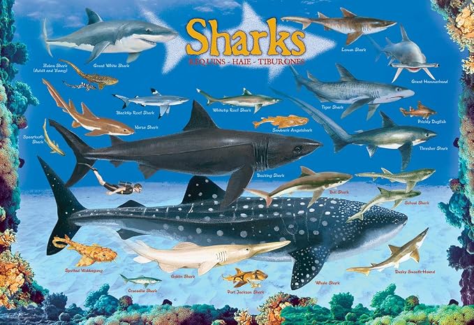 Sharks 100 Piece Jigsaw Puzzle - Image 2