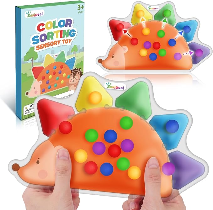 Color Sorting Sensory Toys for Kids Roadtrip Travel Essenstial for Toddler by ZaxiDeel