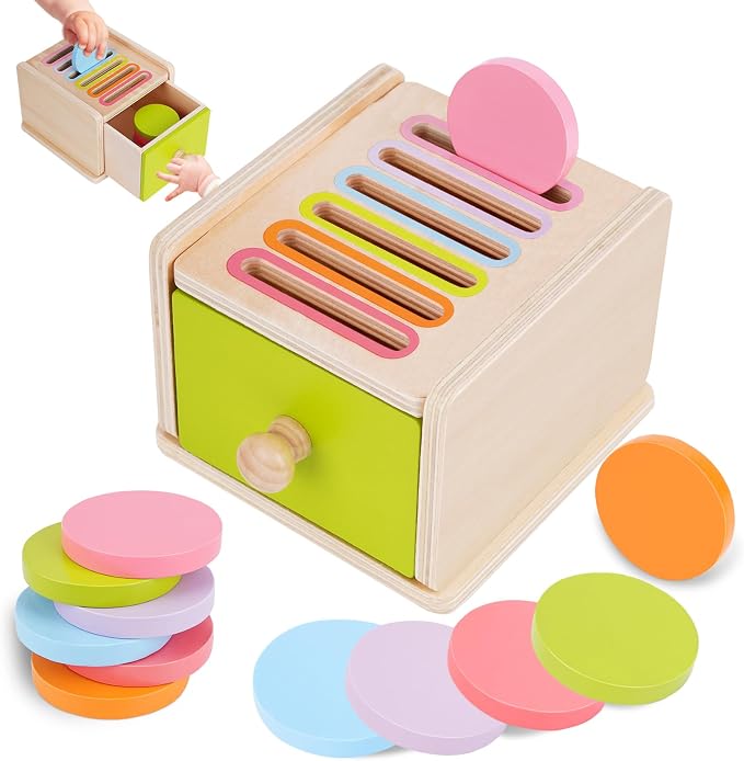 FCSONU Toddlers Montessori Coin Box Toys for 1 2 3 Year Old Boys Girls Baby by FCSONUMontessoriToys
