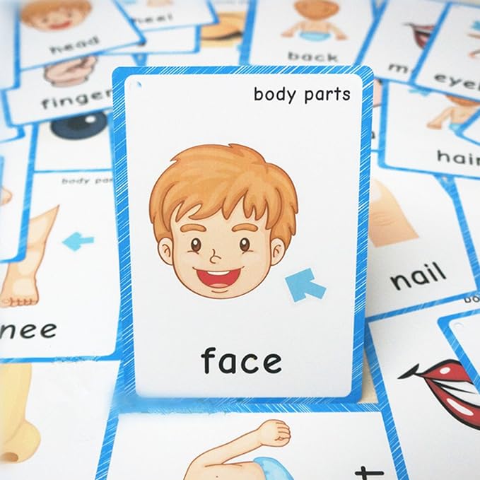 SANTSUN 36 Pieces of My Body Parts Flash Cards for Toddlers- The Flash HolePunched- So You can sort and Organize The Cards Easily and Early Learning Kindergarten Teacher Tools - Image 4