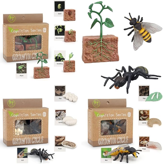 Montessori Life Cycle Animal Figurines Learning & Education Toys, Plastic Insect Life Cycle Toys for Kids, Preschool Learning Activities (Plant Bee Ant) by MIKNEKE
