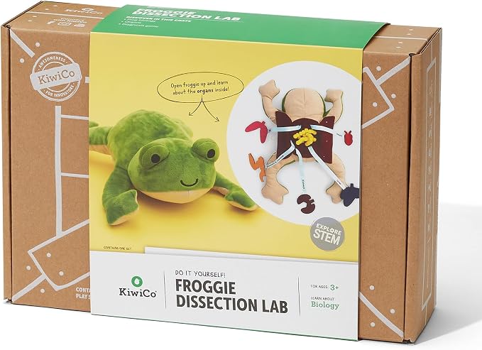 KiwiCo Froggie Lab Dissection Plush Toy | 5-Piece Organ Anatomy Learning Activity | Interactive Biology STEM Stuffed Animal for Kids Ages 3+ - Art & Science Gift - Image 7