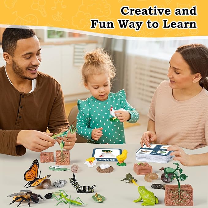 Life Cycle Learning Toys for Kids: Life Science Education Kits with Butterfly, Frog, Chicken, Mantis, Bee, Plants - 25 Pieces Animal Figurines Montessori Toys for Children Age 3 4 5 6 7 8+ - Image 5