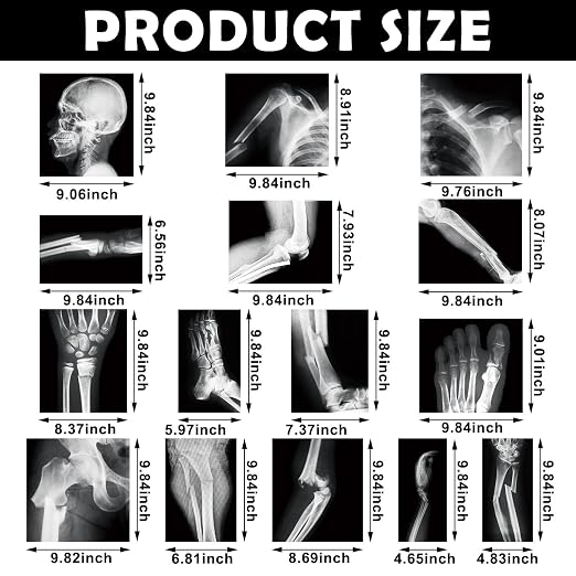 Sayglossy 15 Pcs Human X-Rays Black and White Skeleton Anatomy Set - Image 2