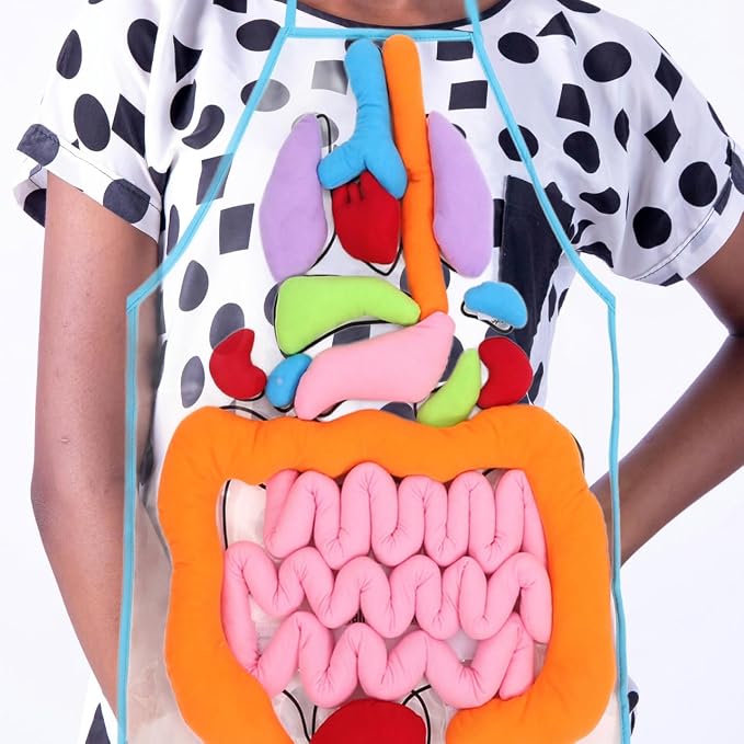 POPETPOP Human Organs Apron 3D Educational Toy for Kids Preschool Cognitive Anatomy Teaching Tool for Home and Classroom Science Learning - Image 2