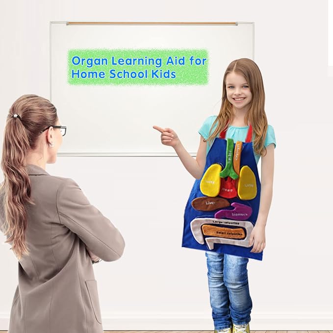 Boczif 3D Organ Apron Awareness Educational Toy, Human Body Model for Kids - Image 2