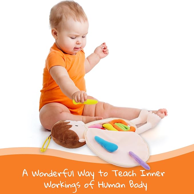 June Garden 18" Little Patient Lucas Plush Anatomy Doll - Soft Educational Toy with Removable Human Organs - Learn Basic Anatomy for Toddlers and Kids - Image 6