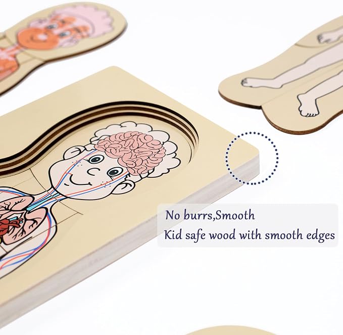 My Body Parts Puzzle for Toddlers Kids Girls Boys Montessori Wooden Anatomy Puzzle 3-5 Years Old Preschool Learning Game Human Body Cognitive Toys - Image 4
