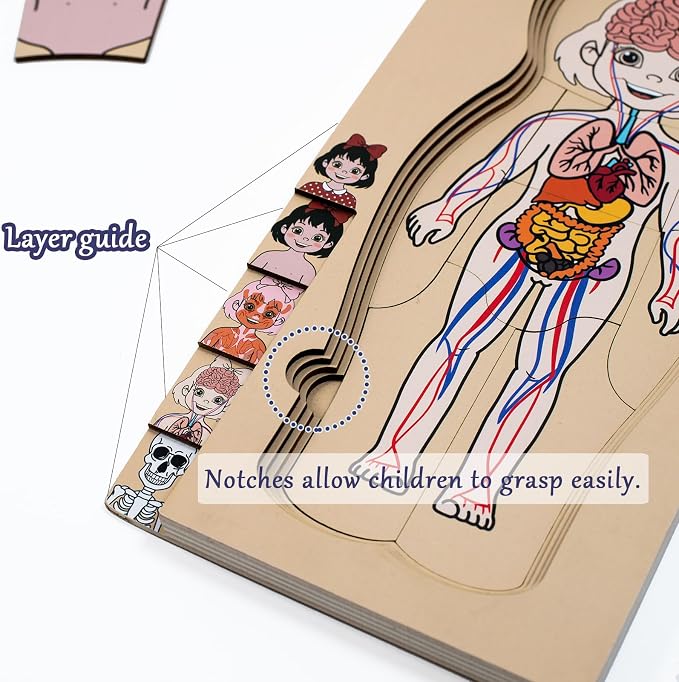My Body Parts Puzzle for Toddlers Kids African Girl Montessori Wooden Anatomy Puzzle 3-6 Years Old Preschool Learning Game Human Body Cognitive Toys - Image 6