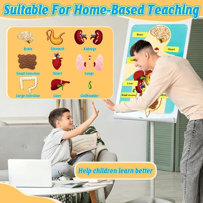 Human Body Parts Felt Board Stories for Kids, Body Model Teaching Puzzle - Image 4