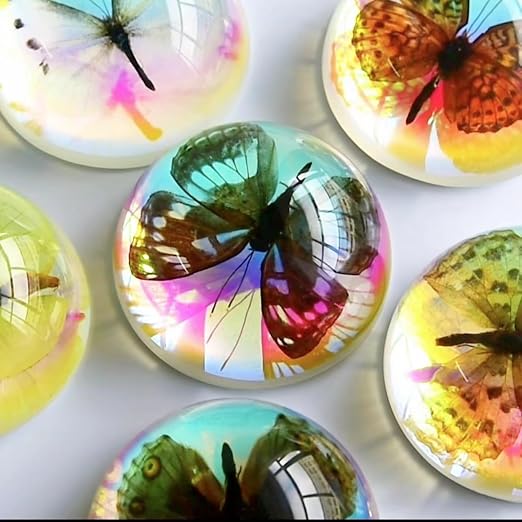 Real Butterfly Specimen in Resin,Insect Specimens for Education - Image 6