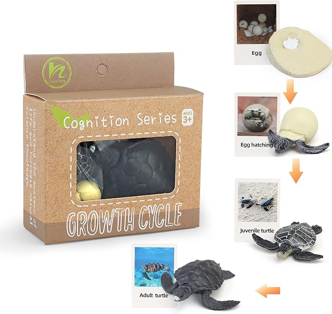 Montessori Life Cycle Animal Figures with Flash Cards, Realistic Animal Figurines Toy, Educational Matching Game for 3+ Year Old Kids (Turtle) by MIKNEKE