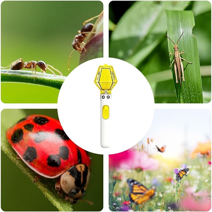 Outdoor Toys for Kids Ergonomic Educational 6X Magnifier - Image 6