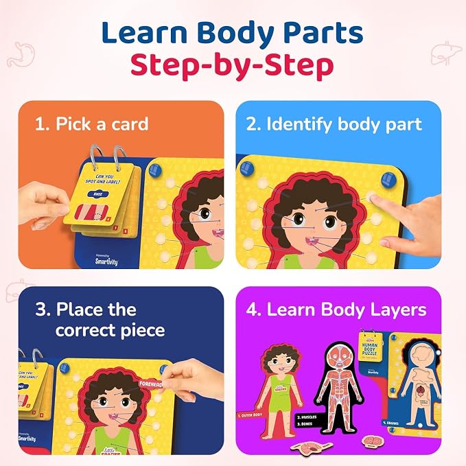 Smartivity Human Body Anatomy Puzzle for Kids 4-7 Years - Image 4