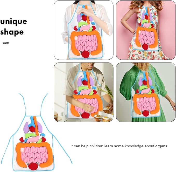 POPETPOP Human Organs Apron 3D Educational Toy for Kids Preschool Cognitive Anatomy Teaching Tool for Home and Classroom Science Learning - Image 6