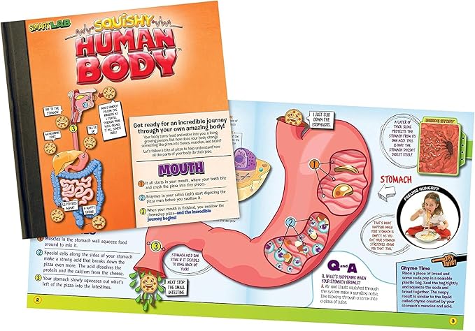 SMARTLAB Toys Squishy Human Body with 21 Removable Body Parts with Anatomy Book - Image 5