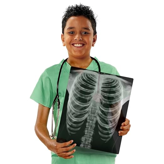 Human X-Rays – 18-Piece Life-Size Skeletal Set for Light Table or Window Exploration, Ages 5+ - Image 4